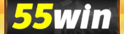 br55win.net Logo
